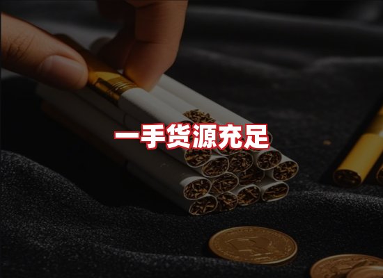 专业团队